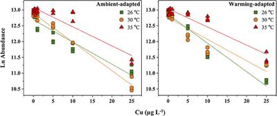 Adaptation of Red Sea Phytoplankton to Experimental Warming Increases Their Tolerance to Toxic Metal Exposure